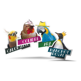 Stickers BIRDZ - Pack de 40