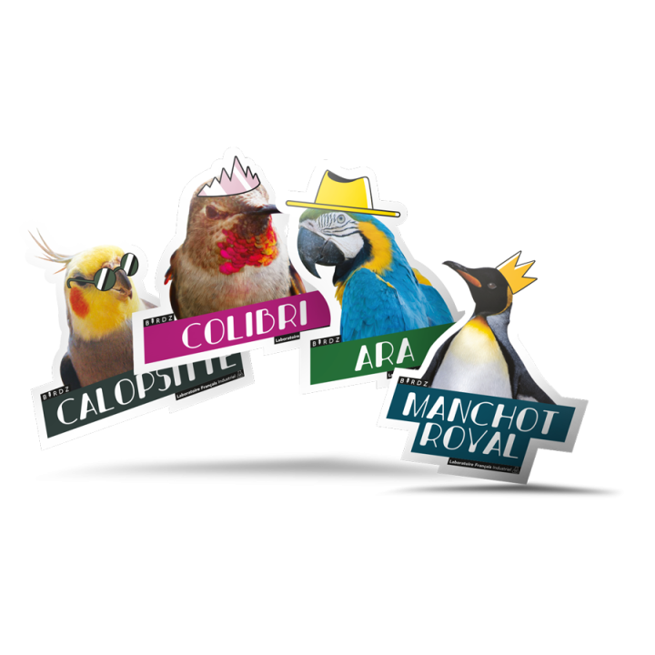Stickers BIRDZ - Pack de 40